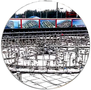 fountain thi cong chuyen nghiep 1